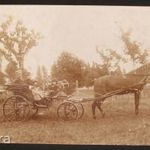 Pomáz, Lovaskocsi fotólap - 1913 fotó