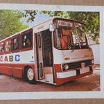 C2 kártyanaptár Közlekedés Ikarus autóbusz Észak-Budai Munkás Áfész fotó