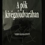 Bágyoni : A pók kivégzőudvarában fotó