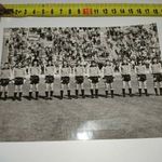 17.5x12.5cm 78 FIFA World cup Austria Team Publikálatlan sajtófotó ASL Hírügynökseg futball fotó