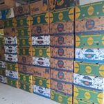 100 banános doboz könyv egyben eladó. 399000.-Ft fotó