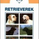 Retrieverek fotó