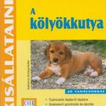 A kölyökkutya fotó