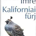 Oravecz Imre: Kaliforniai fürj fotó