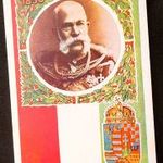 1908 HABSBURG FERENC JÓZSEF MAGYAR KIRÁLY + SZENT KORONA CÍMER EREDETI ÉS KORABELI SZÍNES KÉPESLAP fotó