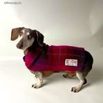 Nagyon szép 24 ezres ELIZ SCOTT HARRIS TWEED kutya ruha - 2 - Hibátlan ! fotó