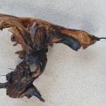 Kiwari egyedi készítésű ledes falilámpa fotó