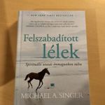 Michael A. Singer: Felszabadított lélek fotó
