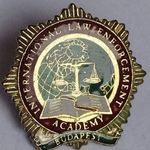 NEMZETKÖZI RENDŐRSÉGI AKADÉMIA BUDAPEST GOMBLYUK jelvény kitűző RRR fotó