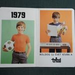 Kártyanaptár, Triál, sport, játék, hangszer áruház, Hobby bolt, Budapest, 1979 (2) fotó