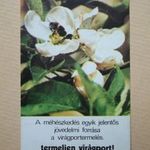 D3 kártyanaptár 1975 méhészet fotó