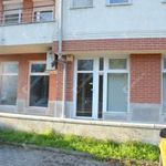 Utcai bejárattal Üzlethelyiségek Miskolc Diósgyőr fotó
