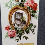 D207620 CHATON Chat Cat Kitty Macska Kiscica Fox Paris 1940k fotó