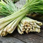 Thai Keleti citromfű (Cymbopogon citratus) magok!10db mag fotó