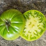Summertime Green PARADICSOM (5+) magok - SZÉP ÉS FINOM! - P 558 fotó