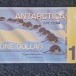6 db-os ANTARTICA DOLLAR sor egyben. fotó