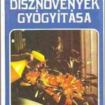 Dísznövények gyógyítása fotó