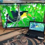 50"-os 125 cm-es 4K-s UHD monitor / Nogis Ninf 50 UHD / 3840x2160 pixel, csak személyes átvétellel fotó