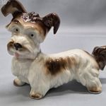 ENS kutya, terrier fotó