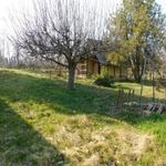általános mezőgazdasági ingatlan Igal fotó
