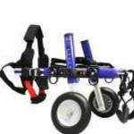 Walkinpets - Kutyakocsi - Kis méret (5 - 11 kg) Kék fotó