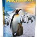 A pingvinkirály (2012)-eredeti dvd-bontatlan! fotó