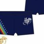 Harry Potter Hogwarts Dark gyerek fürdőnadrág, short 6 év / 116 cm fotó