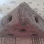 Cicáknak plüss piramis-hibás fotó