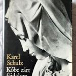 KAREL SCHULTZ : KŐBE ZÁRT FÁJDALOM MICHELANGELO BUONAROTTI ÉLETE 1976 fotó