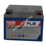 Ólom akku 12V 26Ah (FIAMM) típus 12FLB100P fotó