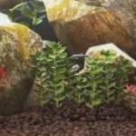 vidaXL piros vulkanikus kőzetek 3-5 cm 25 kg fotó