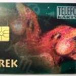 Telefonkártya 1995/05 - Ikrek fotó