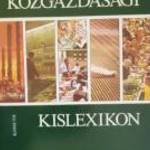 Közgazdasági lexikon fotó