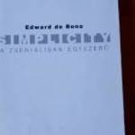 Edward de Bono Simplicity A zseniálisan egyszerű / könyv fotó