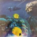 ANIMAL WORLD VOLUME 1. DVD (MAGYAR VONATKOZÁS NÉLKÜL) fotó