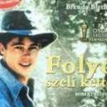 FOLYÓ SZELI KETTÉ (1992) DVD - Brad Pitt, Craig Sheffer fotó