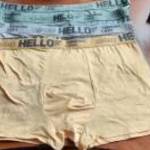 Férfi boxer formájú alsónadrág fotó