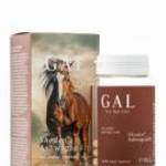 GAL Shoden® Ashwagandha 60 kapszula fotó