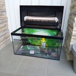 54 literes akvárium szett. Szűrővel, sok tartozékkal. fotó