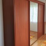 Nagy méretű tükrös gardróbszekrény fotó