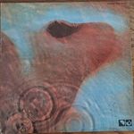 Pink Floyd - Meddle (LP / JAPAN / 1974) fotó