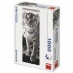 Dino Puzzle 1000 db panoráma - tirgis fotó