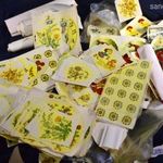 HOLLÓHÁZI PORCELÁN ÉRDEKESSÉG : PORCELÁN MATRICA - LEVONÓKÉP GYŰJTEMÉNY A " GYÁRBÓL " fotó
