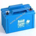 Ólom akku 12V 50Ah (FIAMM) típus 12SLA 50 L fotó
