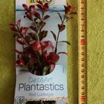 Akvárium dekoráció Tetra Red Ludwigia műnövény S, új! fotó