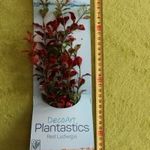 Akvárium dekoráció Tetra Red Ludwigia műnövény L, új! fotó