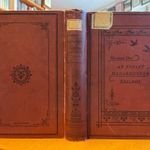 1893 Herman Ottó: Az északi madárhegyek tájáról - KIADÓI KÖTÉSBEN GAZDAG KÉPANYAGGAL fotó