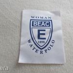 Woman Waterpolo felvarró fotó