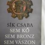 Sík Csaba Sem kő sem bronz sem vászon / könyv fotó