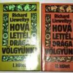 Richard Llewellyn Hová lettél drága völgyünk / könyv fotó
